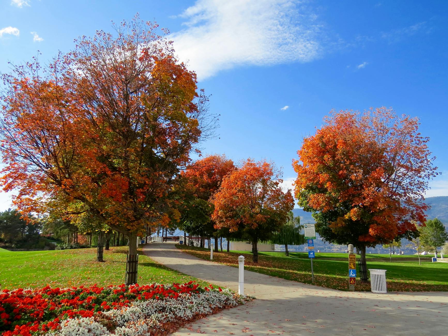 A scenic park with colorful autumn trees lining a pathway under a clear blue sky.