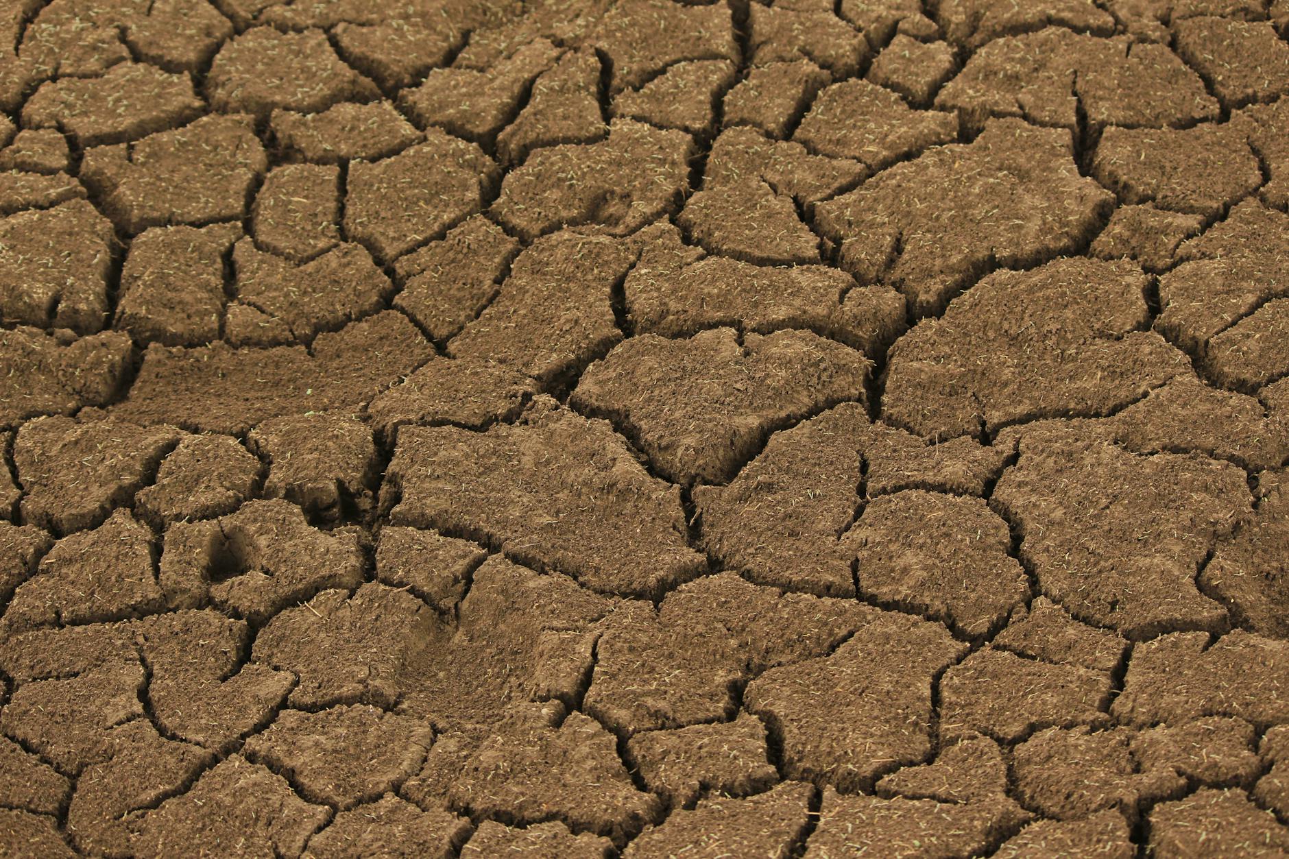 Close-up view of cracked dry earth representing drought in a desert setting.