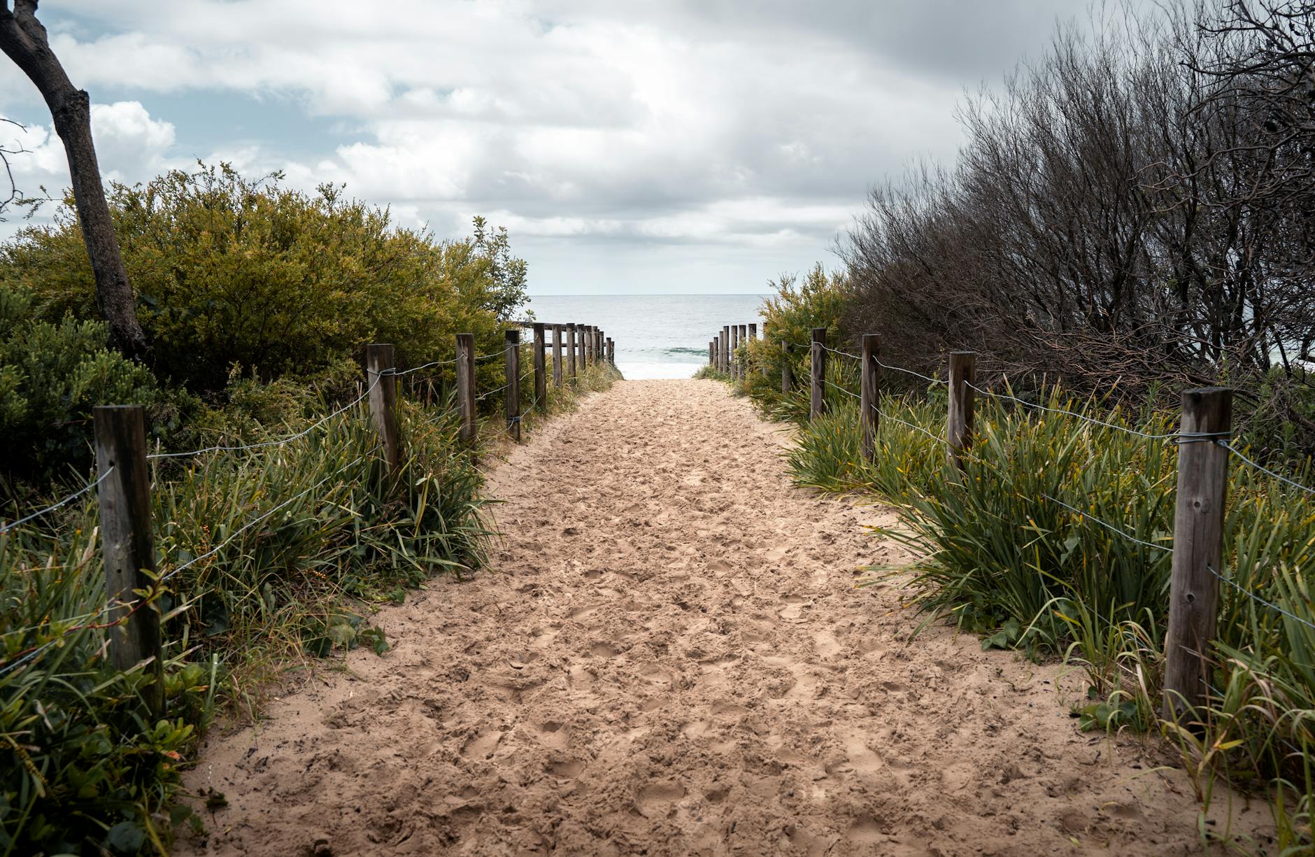 Caminhadas e miradouros com vento: decisões seguras para Lisboa e Sintra 3 Explore a sandy pathway leading to a serene ocean beach through lush vegetation in Australia.