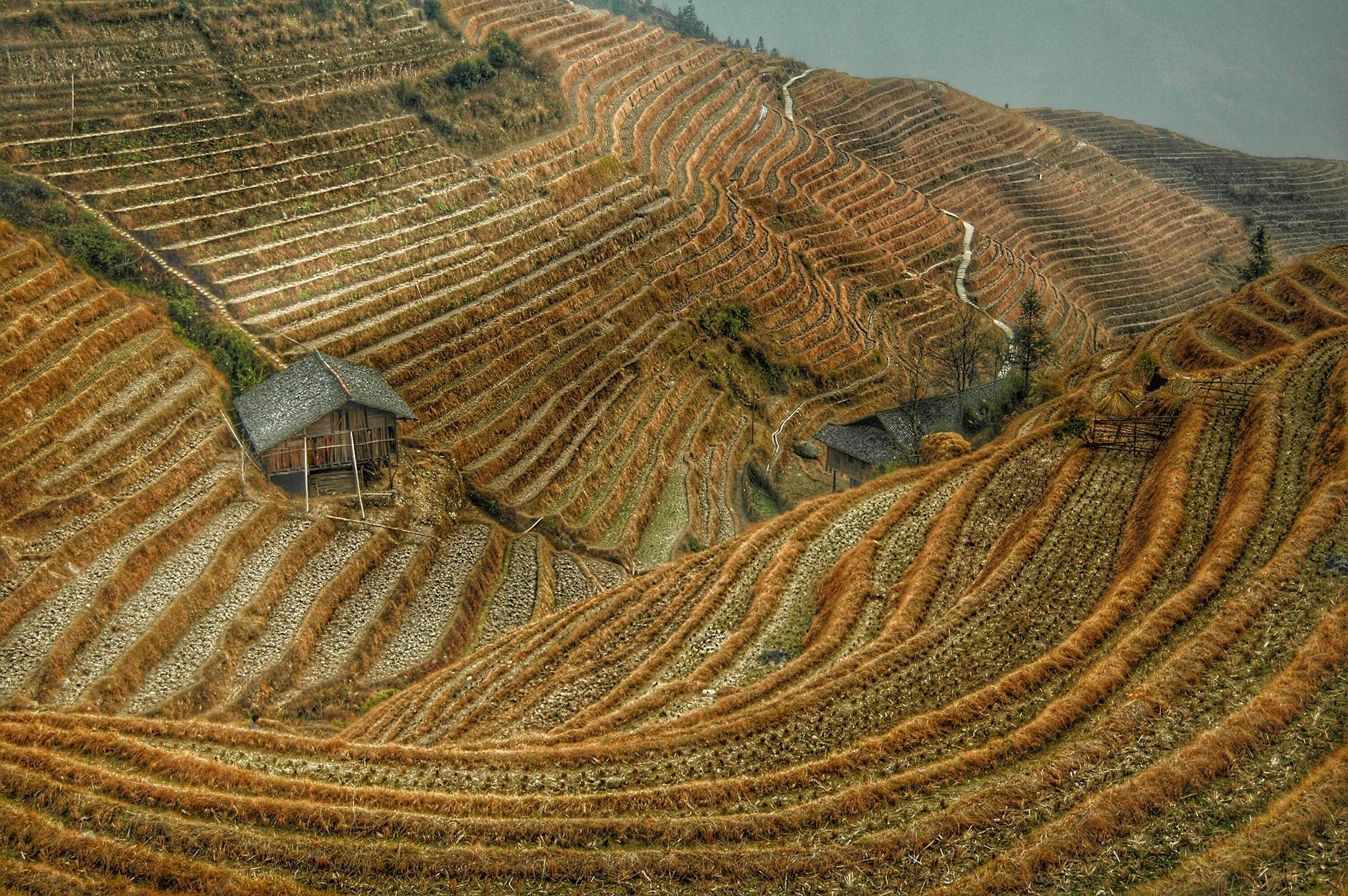 Esplanadas Em Lisboa: Onde Apanhar Sol Sem Levar Com Vento 4 A breathtaking view of rice terraces and traditional huts in rural China's hilly landscape.