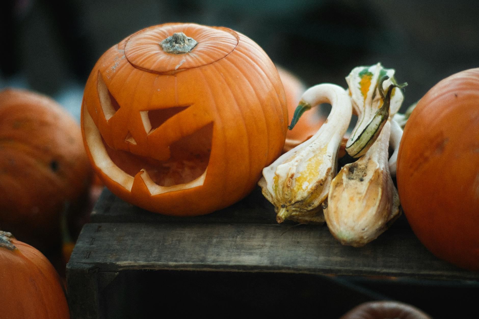 A carved Jack O' Lantern and decorative gourds on a wooden crate, ideal for Halloween themes.