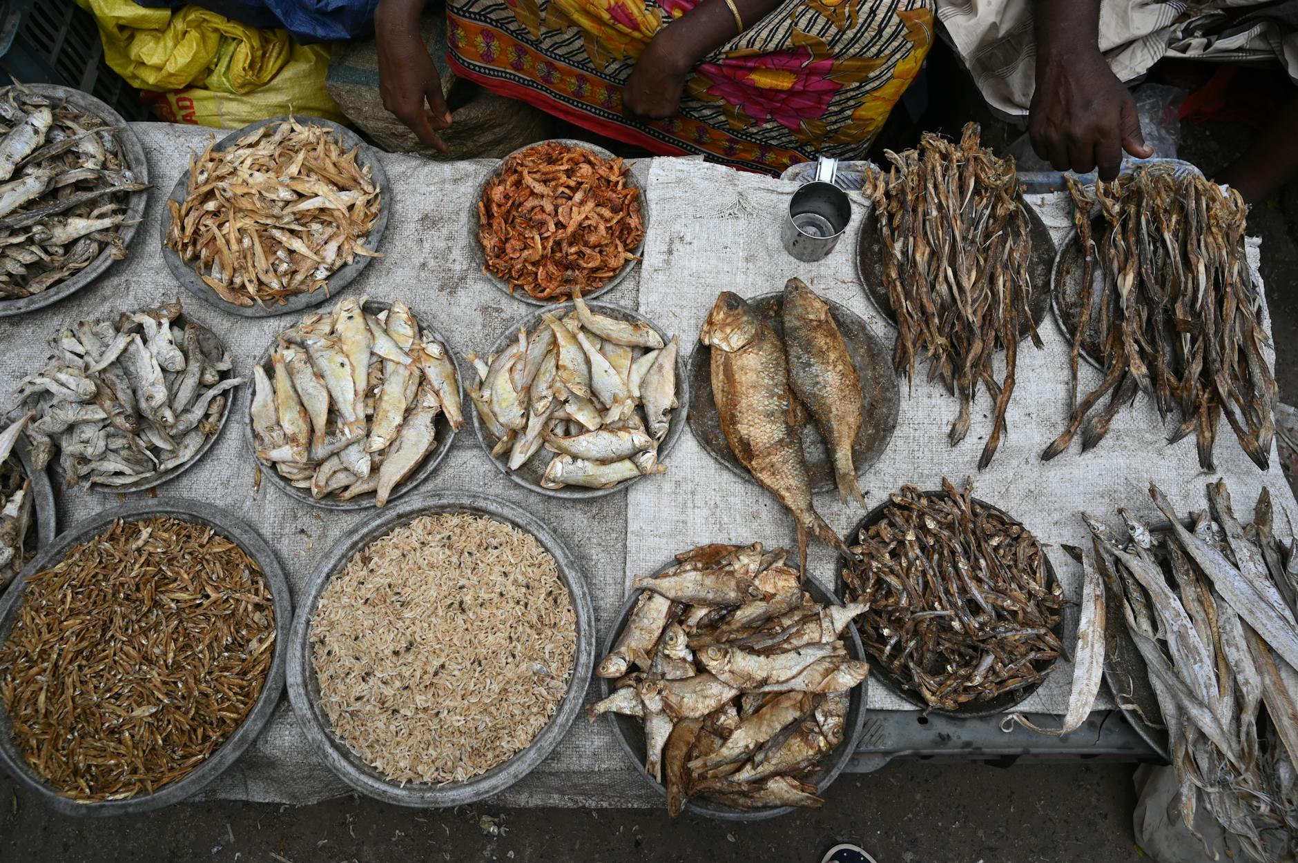 The Standard em Alfama: o que muda para quem vive mesmo no bairro 4 Aerial view of dried fish selections at a traditional market stall in Chittagong, Bangladesh.
