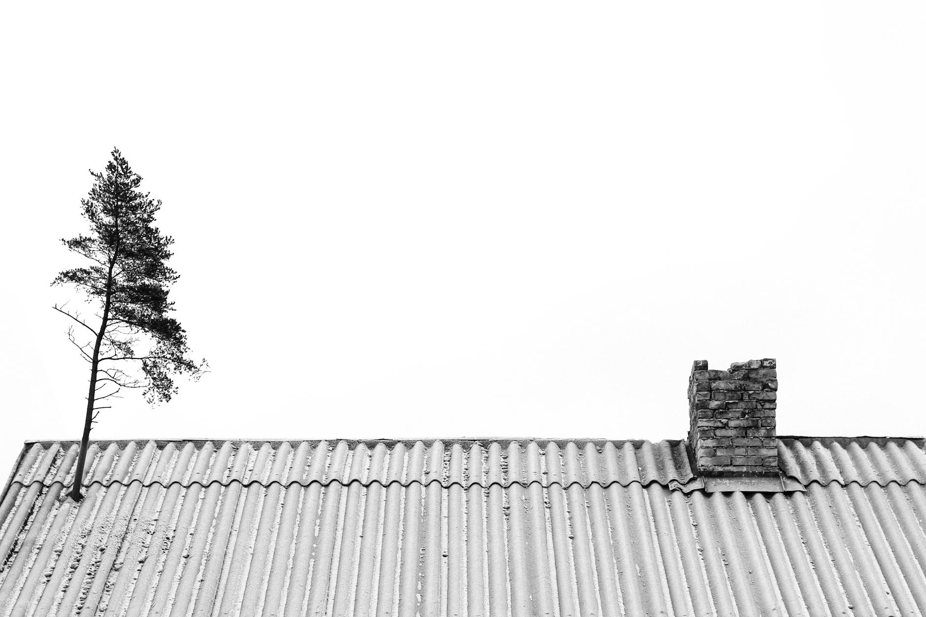 An artistic black and white image of a roof with a chimney and a tree, showcasing minimalist architecture.