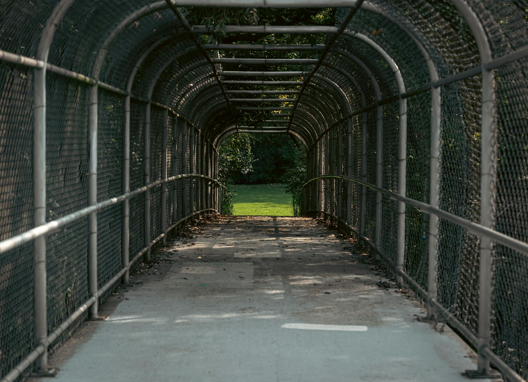 Lisboa 2026: as 10 zonas que vão sentir mais obras (e porquê) 5 An overhead pedestrian walkway with metal fencing and pathway leading to greenery.