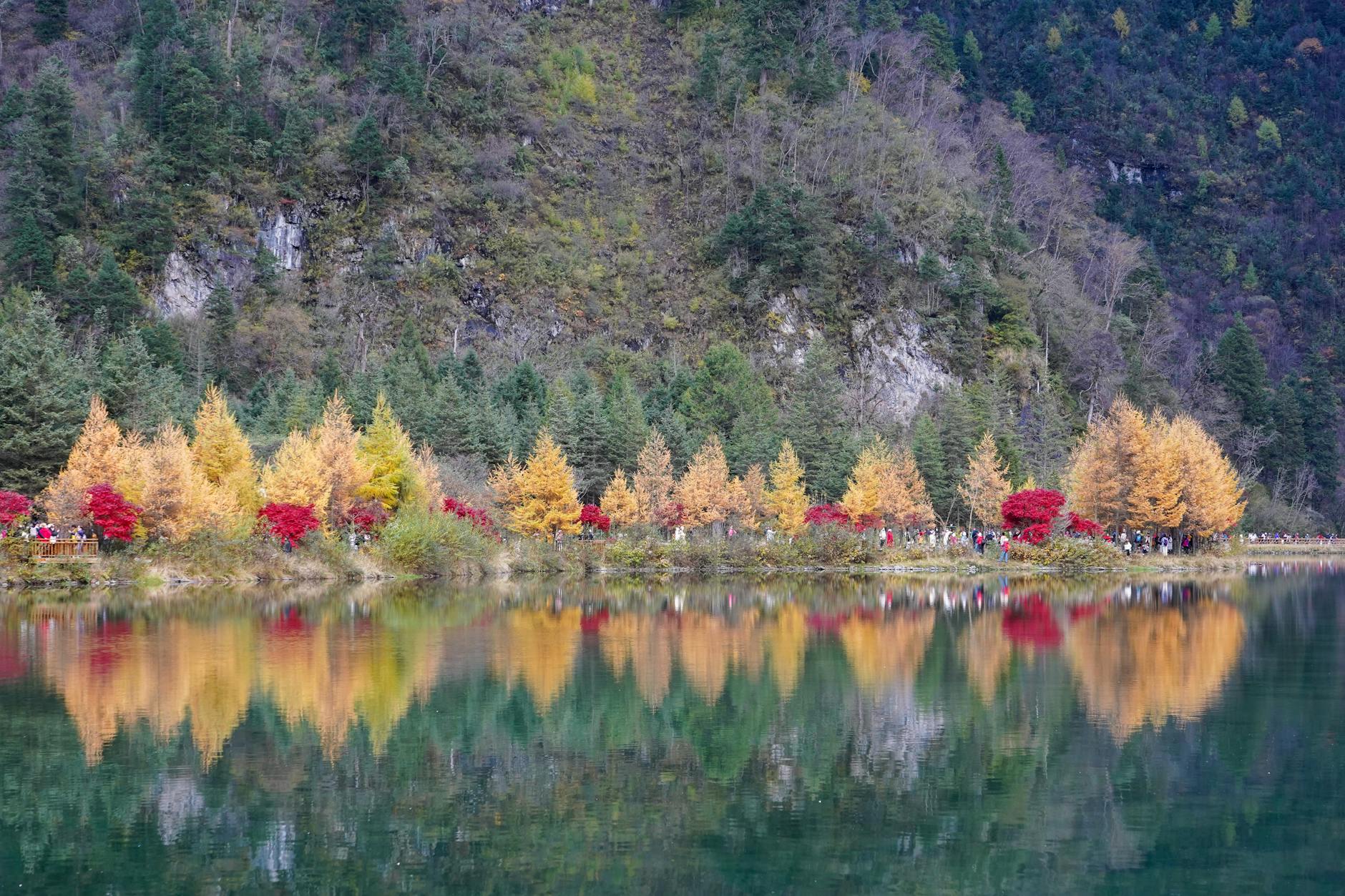 Telheiras: Cafés, Caminhadas E Um “Mood” De Bairro 5 Beautiful autumn landscape with reflection of colorful trees in a tranquil mountain lake.