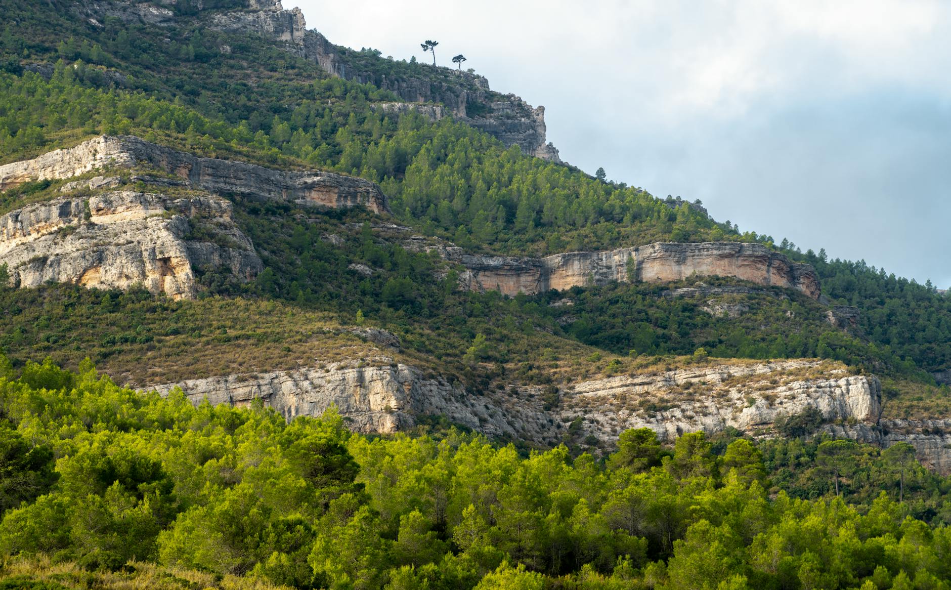 Lisboa 2026: como evitar ficar refém de desvios e cortes de trânsito 7 Breathtaking view of rugged hills and lush greenery in Cortes de Pallás, Valencia.