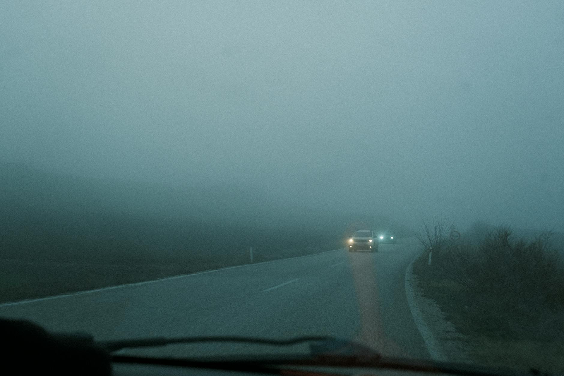 Festival ao Largo: como conseguir os melhores lugares sem chegar “duas horas antes” 5 Cars driving on a foggy road at dawn with headlights on highlighting low visibility and atmospheric conditions.