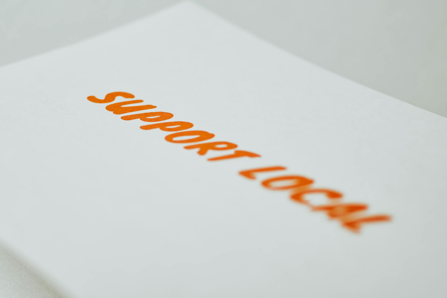 Queer Lisboa no Cinema São Jorge: onde sentar, quando chegar e como sair rápido 6 close up of a suppo 6984f80a54f57