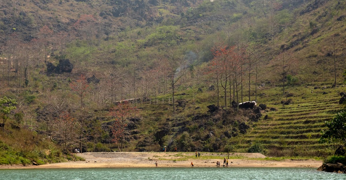 featured image for 69887cb310801