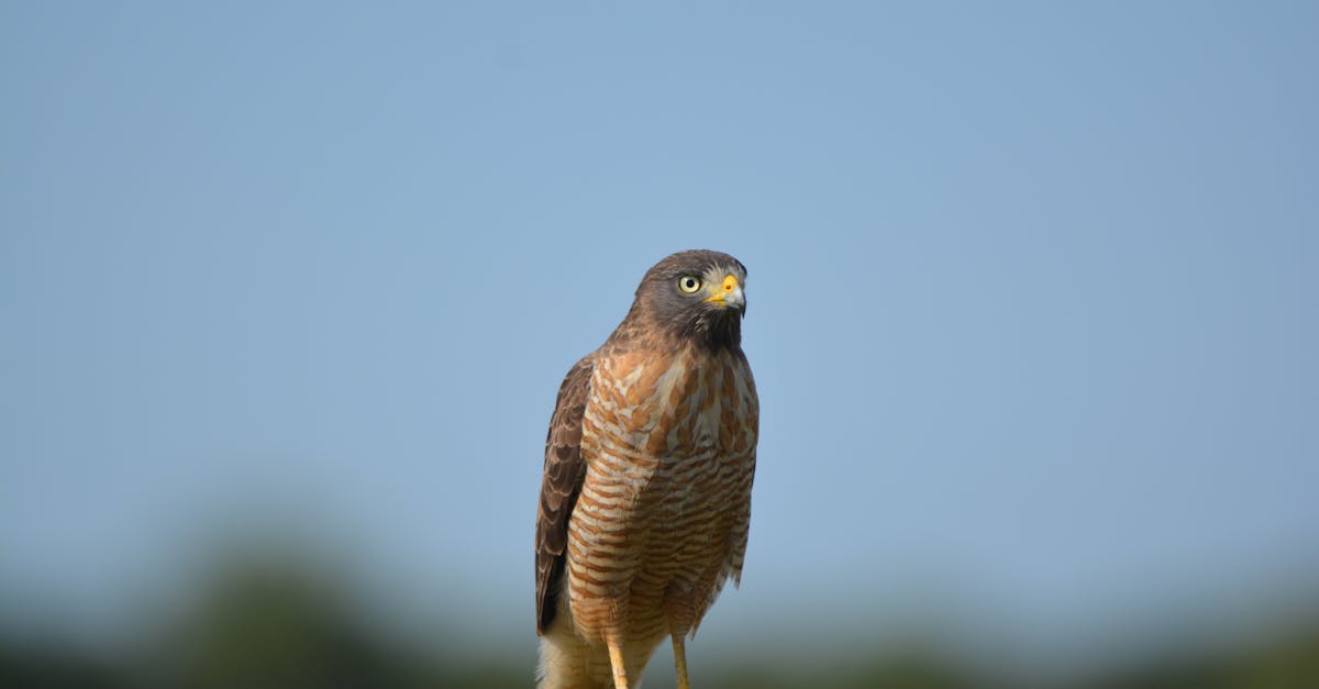 featured image for 698928b0c0042