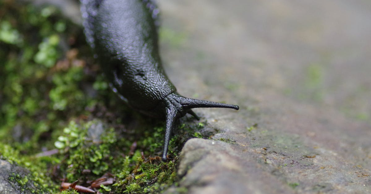 featured image for 698be3854e8ea