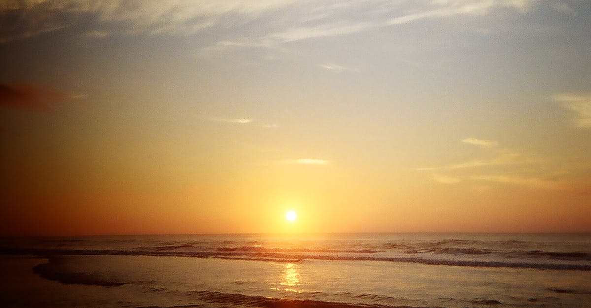 featured image for 6993cc9281cdd