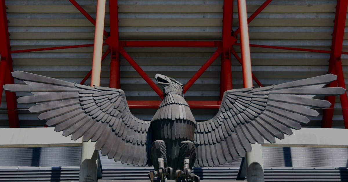 featured image for 6993cc9fd5201