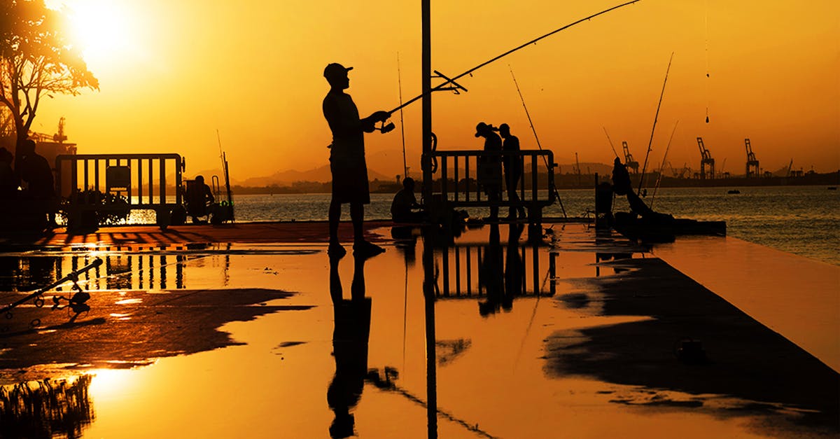 featured image for 6999a17b05512