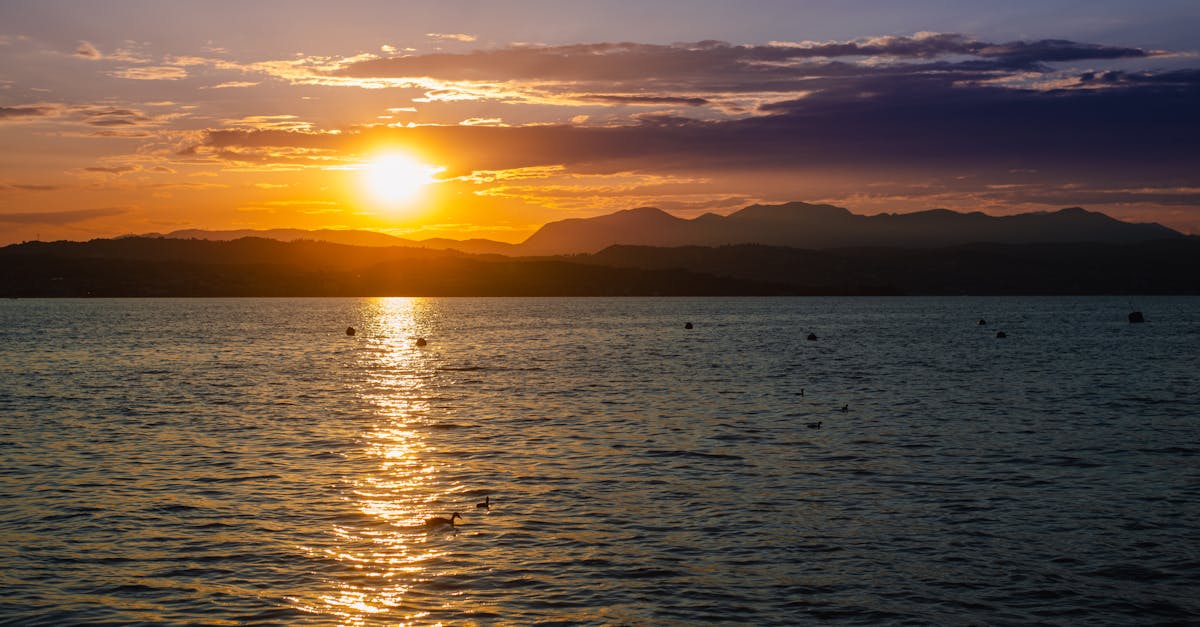 featured image for 6999a17f23d86