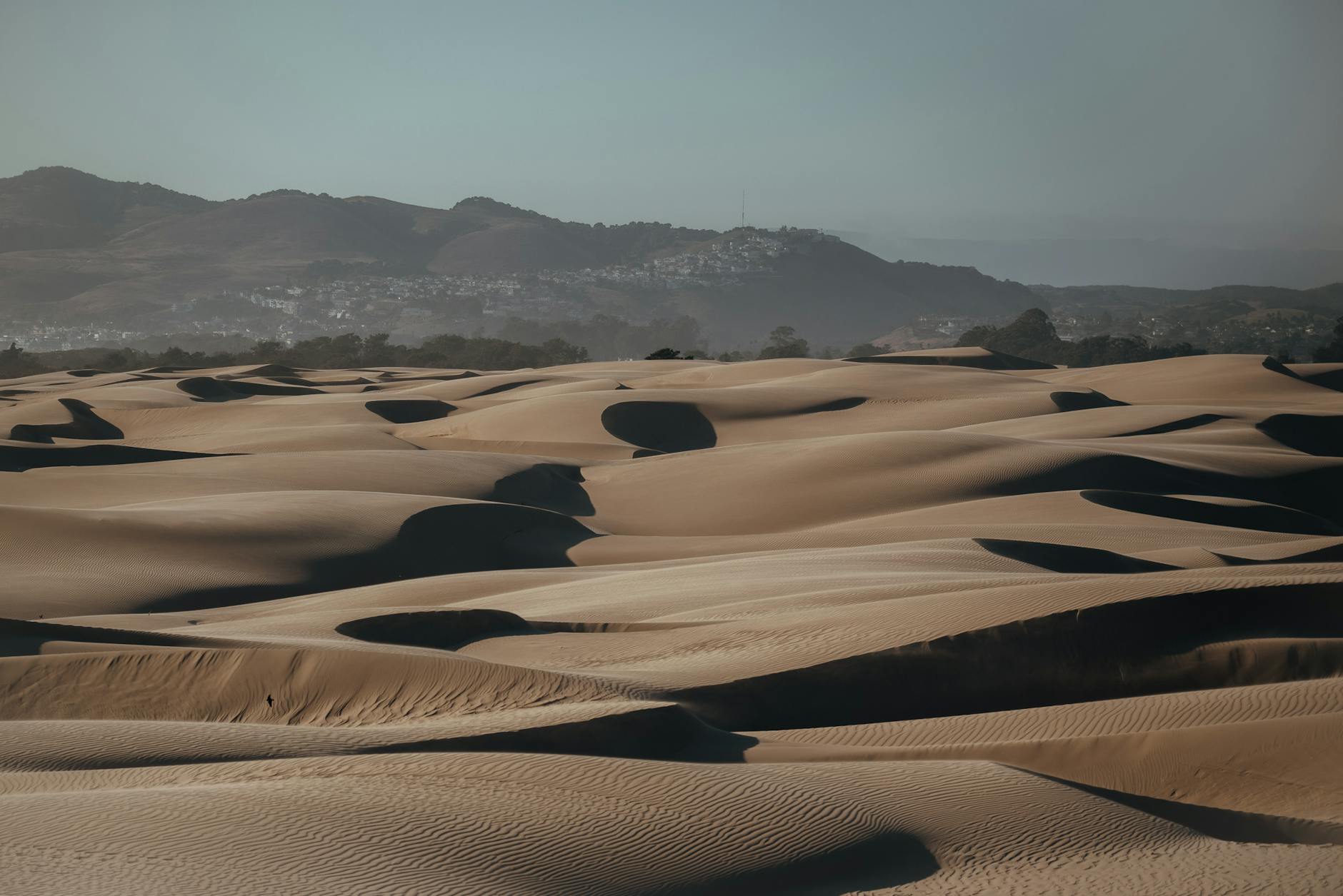Golden sand dunes under a clear sky at Oceano, CA. A serene desert landscape with distant hills.