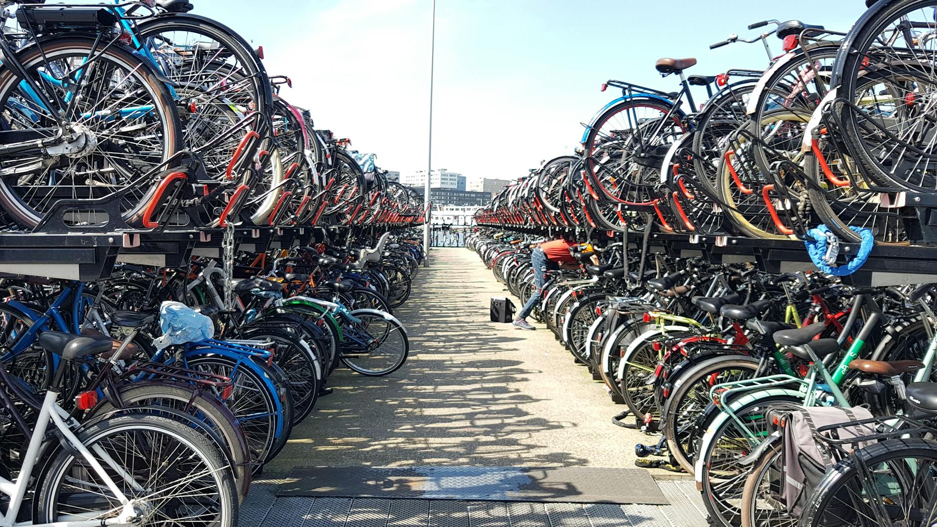 Rows of bicycles densely parked in Amsterdam, showcasing the city's bike-friendly culture.
