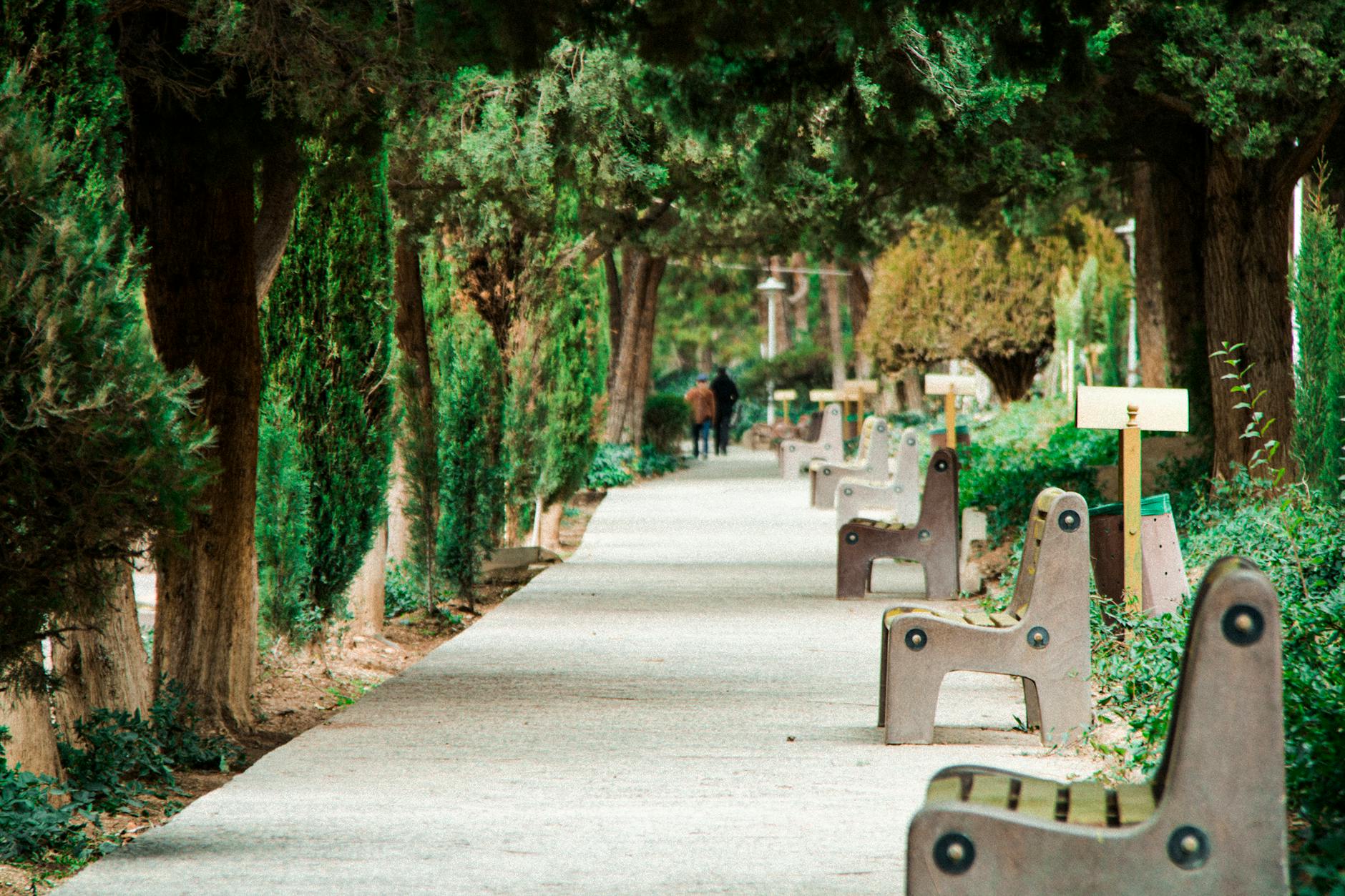 Scenic park walkway shaded by lush trees, featuring multiple benches and a strolling person.