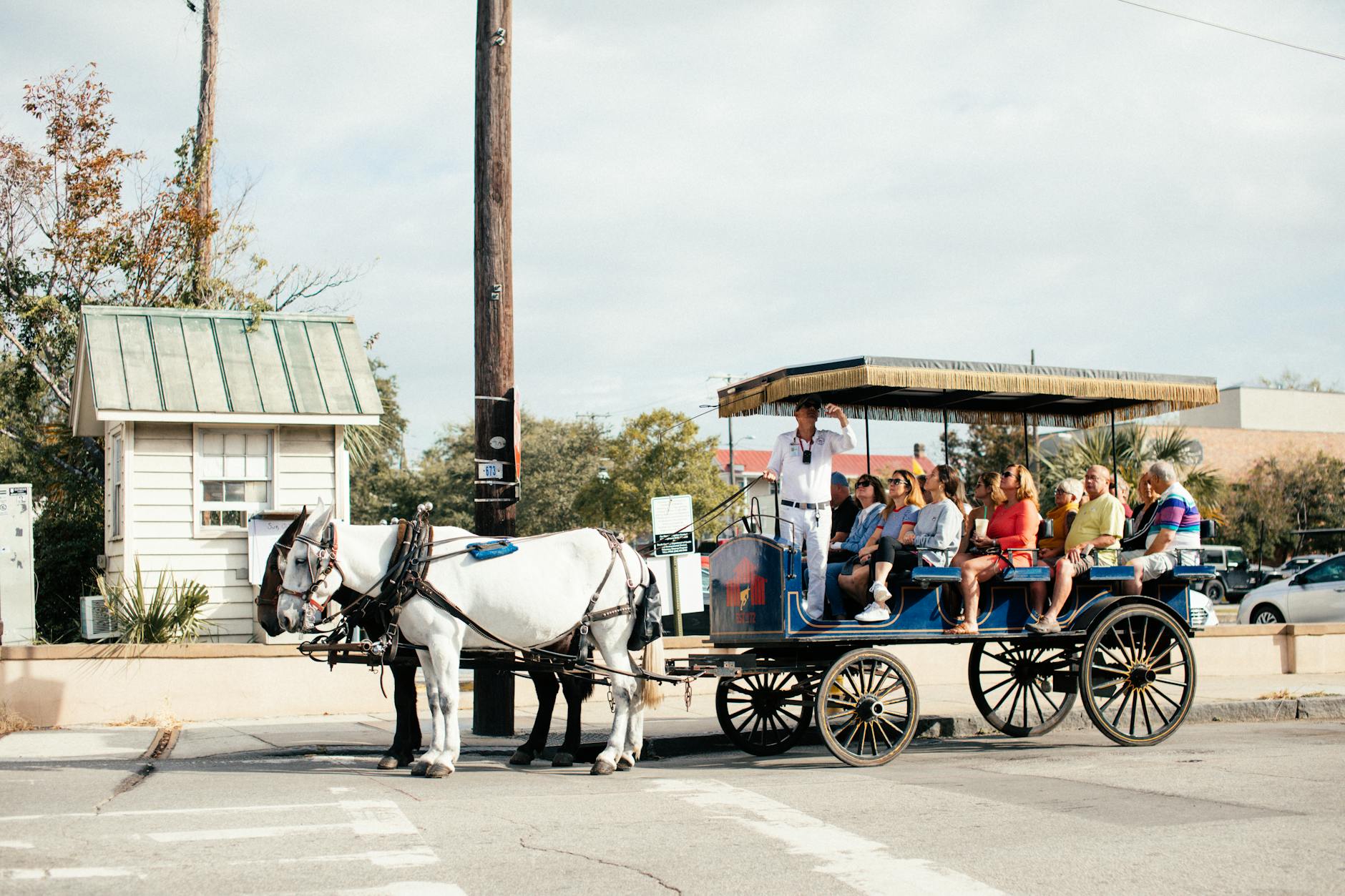 Tourists enjoy a scenic horse-drawn carriage ride through the city, guided by an experienced tour guide.