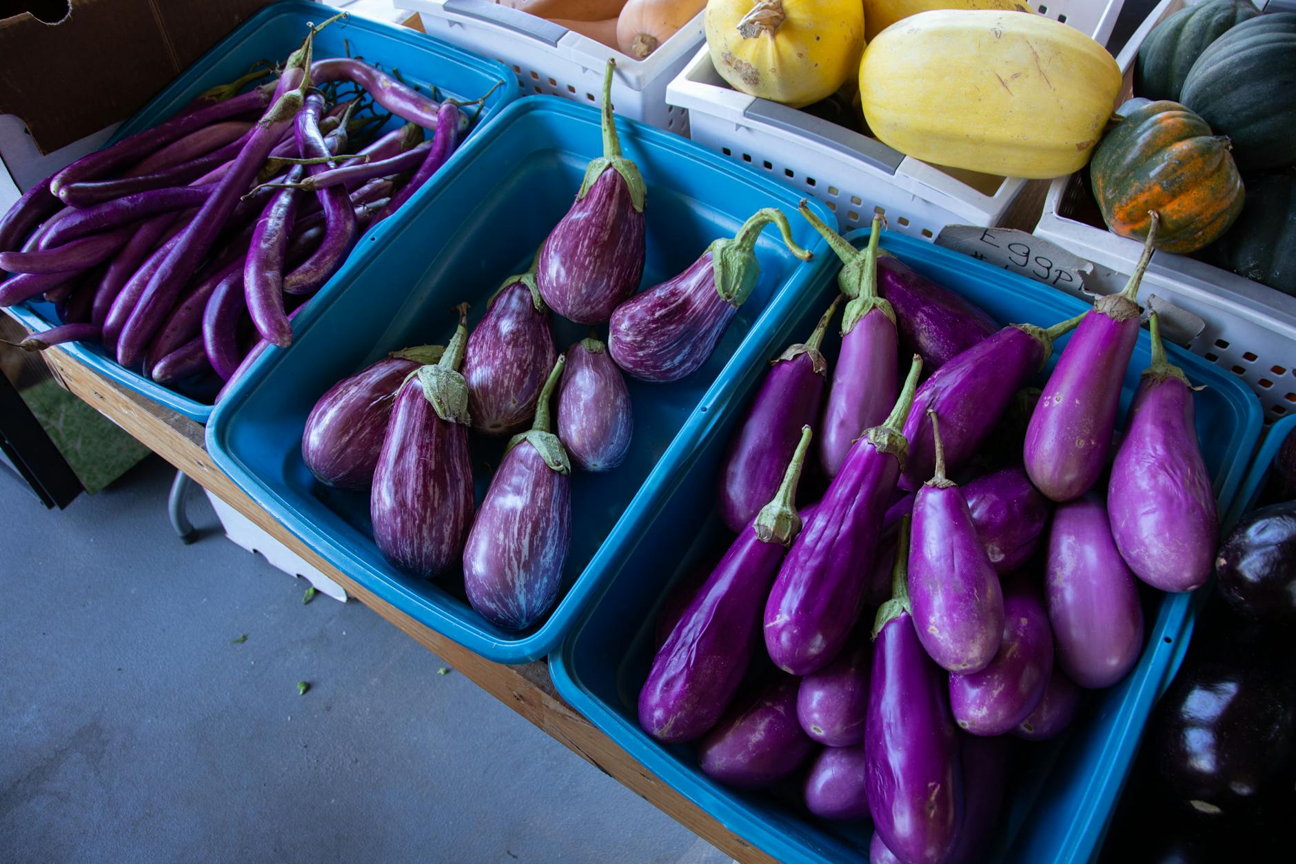 Vibrant display of fresh eggplants and squash in a market setting, highlighting farm-to-table freshness.